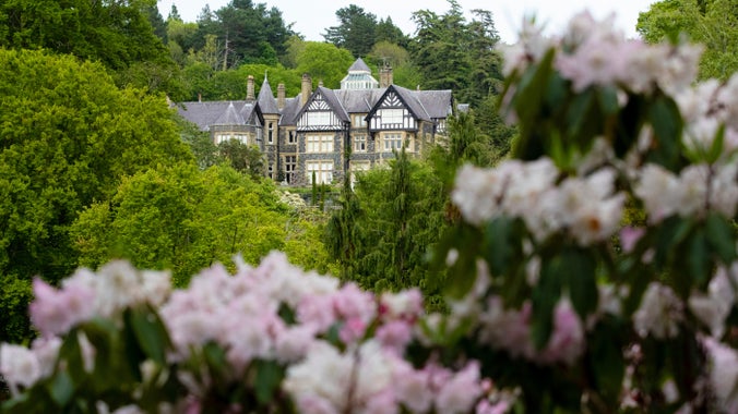 View of rhododendrons from Furnace Wood with the house in the background at Bodnant Garden, Conwy, North Wales